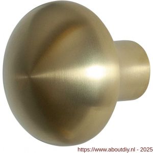 GPF Bouwbeslag PVD 9959.P4 S1 Paddenstoel knop 52 mm draaibaar met krukstift PVD mat messing - A21011063 - afbeelding 1