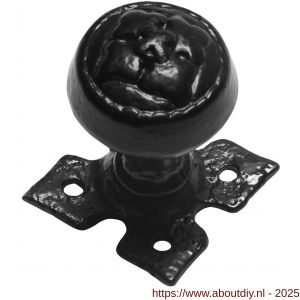 Kirkpatrick KP1207 knopkruk 53 mm op rozet 60x60 mm vast smeedijzer zwart - A21003051 - afbeelding 1