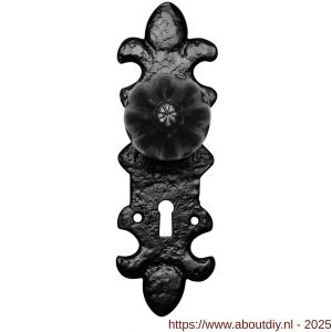 Kirkpatrick KP1211 knop 50 mm op schild 203x63 mm PC55 draaibaar smeedijzer zwart - A21004498 - afbeelding 1