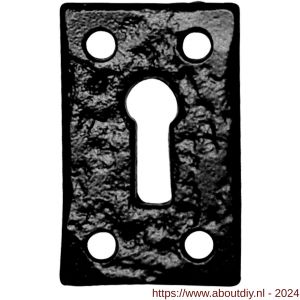 Kirkpatrick KP1502 sleutelrozet 46x30 mm smeedijzer zwart - A21003755 - afbeelding 1