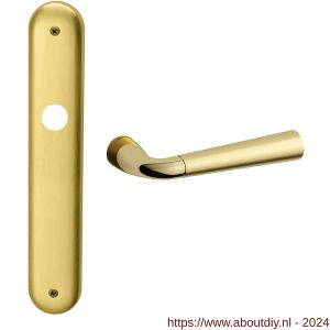 Mandelli1953 S90R Special deurkruk gatdeel rechtswijzend op langschild 238x40 mm blind messing gepolijst-mat messing - A21012099 - afbeelding 1