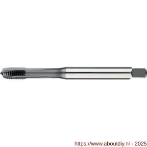 Phantom 22.252 HSS-E PM Synchro machinetap DIN 371 metrisch TiCN voor doorlopende gaten M3 - A40513635 - afbeelding 1