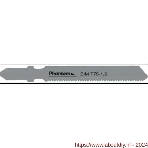 Phantom 64.500 bi-metaal decoupeerzaag T 75-1‚2 set 5 stuks - A40522529 - afbeelding 1