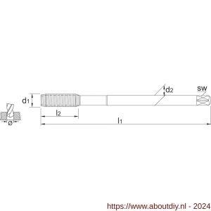 Phantom 26.111 HSS-E roltap DIN 2174 metrisch TiN voor blinde en doorlopende gaten M12 - A40514626 - afbeelding 2