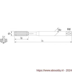 Phantom 26.160 HSS-E roltap DIN 2174 met smeergroef metrisch TiCN voor blinde en doorlopende gaten M5 - A40514628 - afbeelding 2