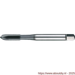 Phantom 22.610 HSS-E PM machinetap DIN 371 metrisch TiCN roestvaststaal voor doorlopende gaten M2 - A40513738 - afbeelding 1