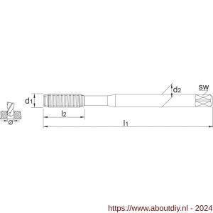 Phantom 26.110 HSS-E roltap DIN 2174 metrisch TiN voor blinde en doorlopende gaten M2‚5 - A40514619 - afbeelding 2