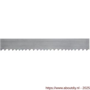 Phantom 66.455 M42 bi-metaal bandzaag universele multizaag 41x1‚3 4/6 5040 mm - A40527766 - afbeelding 1