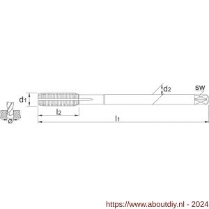 Phantom 26.161 HSS-E roltap DIN 2174 met smeergroef metrisch TiCN voor blinde en doorlopende gaten M20 - A40514637 - afbeelding 2