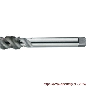 International Tools 25.295 Eco Pro HSS-E machinetap DIN 5156 BSP (gasdraad) voor blinde gaten 1/4 inch-19 - A40512742 - afbeelding 1