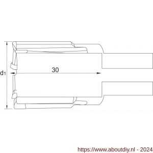 Phantom 62.210 HM-tip kernboor rail snijdiepte 30 mm 22 mm - A40504168 - afbeelding 2