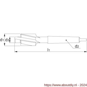 Phantom 43.440 HSS-E kopverzinkboor DIN 373 180 graden middelpassing kerngaten MK 2 M14 12x24 mm - A40516788 - afbeelding 2