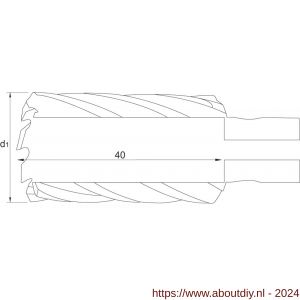 Phantom 62.250 HSS-EX kernboor met Fein QuickIN opname snijdiepte 40 mm 16 mm - A40503991 - afbeelding 2