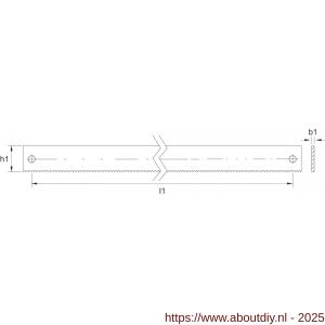 Phantom 66.160 Phantom M42 bi-metaal machinezaagblad 450x40x2 mm diameter 10‚5 mm T10 - A40525761 - afbeelding 2