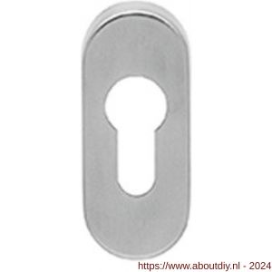 Artitec cilinder sleutelrozet smalschild stuk RVS mat ovaal rozet - A23001173 - afbeelding 1