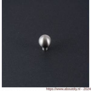 Didheya Kogel meubelknop 20 mm inox - A11201019 - afbeelding 1