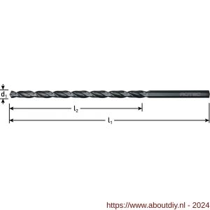 Rotec 160 HSS-G spiraalboor DIN 1869 type N diameter 12,0x205x295 mm - A50911863 - afbeelding 2