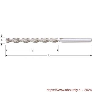 Rotec 264 HSS-G houtspiraalboor lang DIN 340 TLS diameter 10,0x121x184 mm set 5 stuks - A50904393 - afbeelding 2