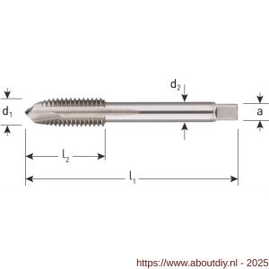 Rotec 328 HSS-E machinetap extra kort doorlopend DIN 352 M12 - A50905287 - afbeelding 2