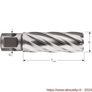 Rotec 536 HSS-XE kernboor Silver-Line universeel 19 diameter 30x55 mm - A50907955 - afbeelding 2