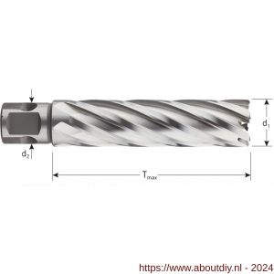 Rotec 536 HSS-XE kernboor Silver-Line universeel 19 diameter 22x80 mm - A50907909 - afbeelding 2