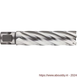 Rotec 536 HSS-XE kernboor Silver-Line universeel 19 mm 18x80 mm - A50907885 - afbeelding 1