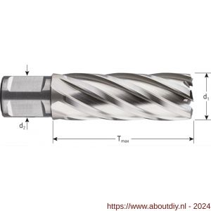 Rotec 536 HSS kernboor Silver-Line Weldon 19 diameter 55x55 mm - A50908082 - afbeelding 2