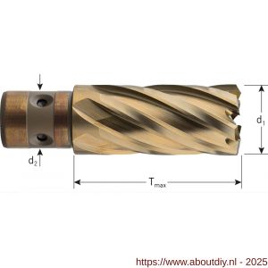 Rotec 539 HSS-XE kernboor Gold-Line Quickin 18 diameter 12x40 mm - A50908217 - afbeelding 2