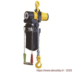 Delta pneumatische kettingtakel 0,25 ton met 3 m hijshoogte 1 part Atex zone 2 - A53101661 - afbeelding 1
