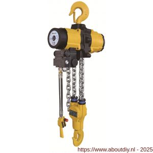 Delta pneumatische kettingtakel 10 ton met 3 m hijshoogte 2 part Atex zone 2 - A53101667 - afbeelding 1