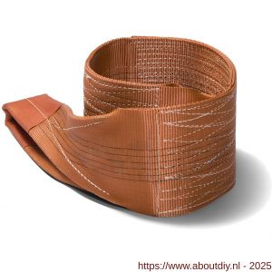 Deltasling hijsband 6 ton 3 m - A53100131 - afbeelding 1