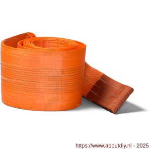 Deltasling hijsband 10 ton 3 m - A53100084 - afbeelding 1