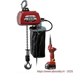 Delta batterij kettingtakel 18 V DC 0,25 ton 10 m hijshoogte - A53101512 - afbeelding 1