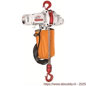 Delta elektrische kettingtakel US 230 V 0,5 ton met 6 m hijshoogte enkele snelheid 1 part - A53101650 - afbeelding 1