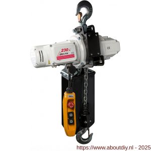 Delta elektrische kettingtakel US 230 V 1 ton met 3 m hijshoogte enkele snelheid 1 part - A53101655 - afbeelding 1