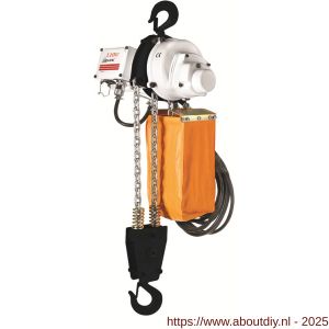 Delta elektrische kettingtakel US 230 V 2 ton met 3 m hijshoogte enkele snelheid 2 part - A53101658 - afbeelding 1