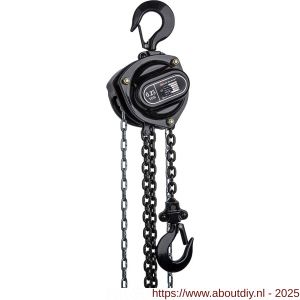 Delta Black handkettingtakel 0,25 ton met 3 m hijshoogte - A53101403 - afbeelding 1
