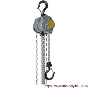 Delta Aluminium handkettingtakel 0,25 ton met 10 m hijshoogte - A53101325 - afbeelding 1