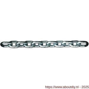 Deltalock lastketting voor kettingtakels met motoraandrijving 10x30.2 mm 3,2 ton - A53100298 - afbeelding 1