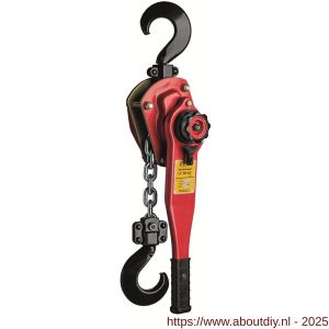 Delta Red Premium sjortakel met scheepswerf haken 3 ton met 1,5 m hijshoogte Lc 60 Kn - A53101499 - afbeelding 1