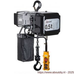 Delta elektrische kettingtakel DMS 230V 0,5 ton met 3 m hijshoogte enkele snelheid 1 part - A53101503 - afbeelding 1