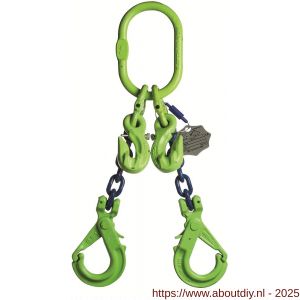 Deltalock Grade 100 hijsketting 2-sprong 6 mm x 1 m veiligheidshaak en inkorthaak WLL gebaseerd op 0-45 graden - A53100558 - afbeelding 1