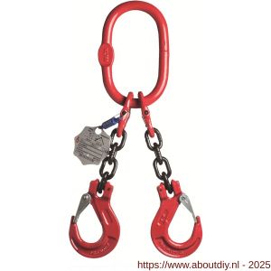 Deltalock Grade 80 hijsketting 2-sprong 6 mm x 1 m klephaak WLL gebaseerd op 0-45 graden - A53100438 - afbeelding 1