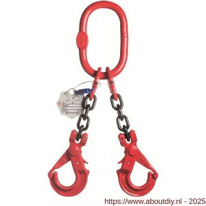 Deltalock Grade 80 hijsketting 2-sprong 6 mm x 1 m veiligheidshaak WLL gebaseerd op 0-45 graden - A53100398 - afbeelding 1