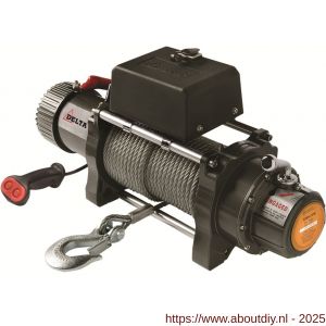 Delta gelijkstroom treklier 12 V DC - A53101148 - afbeelding 1