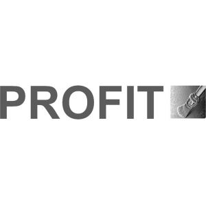 Logo Profit