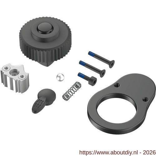 Wera 9900 B 2 ratelreparatieset voor Click-Torque B 2 draaimomentsleutel - A227403745 - afbeelding 1