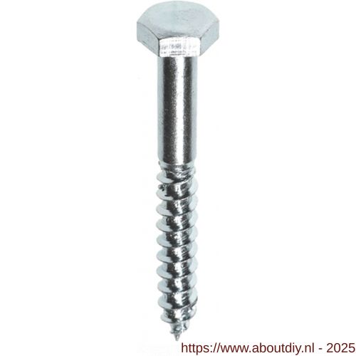 Herag houtdraadbout DIN 571 10x80 mm 4.8 verzinkt - A40882032 - afbeelding 1