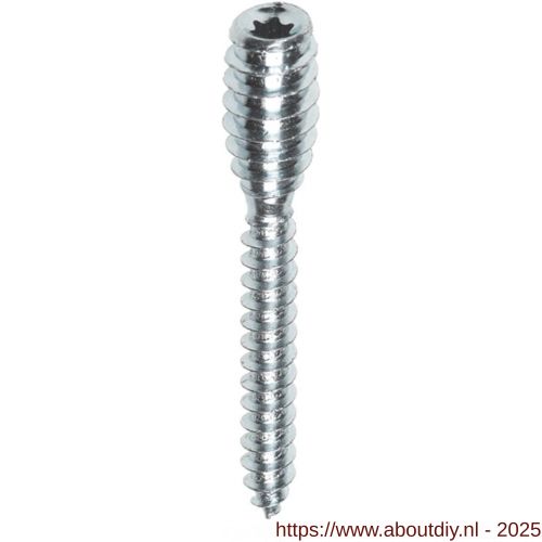 Woodies Ultimate verstelbare afstandschroef 6x100 mm Torx T 25 verzinkt - A40800021 - afbeelding 1