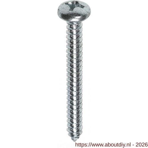 ASF plaatschroef DIN 7981C-Z 4.8x60 mm Pozidriv PZ RVS A4 - A40822923 - afbeelding 1